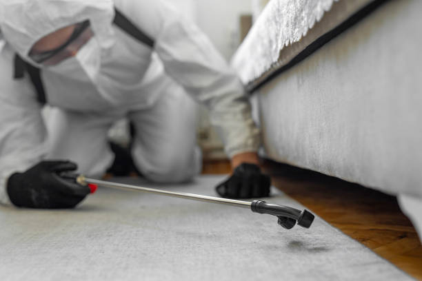 Professional Pest Control technician working in Freestone County County, TX